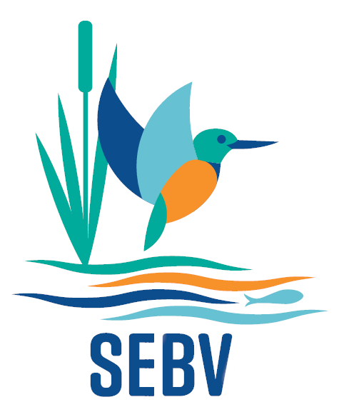 logo sbv4r