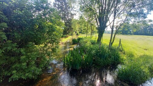 Restauration légère du ruisseau du Mesnil à Villemeux-sur-Eure